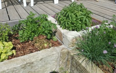 aiaga külaliskorterid kuressaares